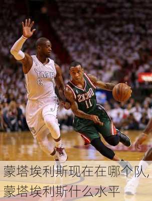 蒙塔埃利斯现在在哪个队,蒙塔埃利斯什么水平