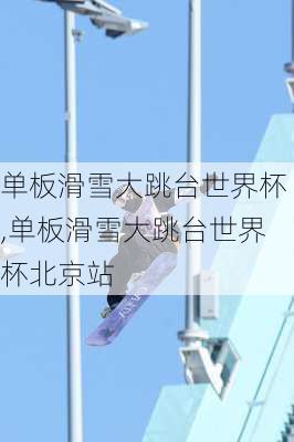 单板滑雪大跳台世界杯,单板滑雪大跳台世界杯北京站