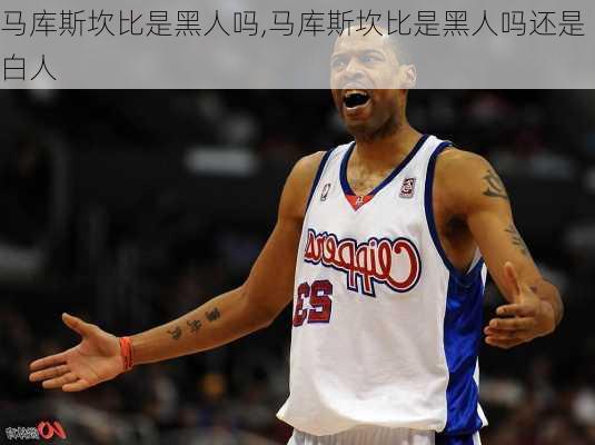 马库斯坎比是黑人吗,马库斯坎比是黑人吗还是白人