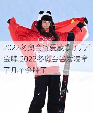 2022冬奥会谷爱凌拿了几个金牌,2022冬奥会谷爱凌拿了几个金牌了