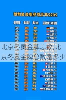 北京冬奥金牌总数,北京冬奥金牌总数是多少