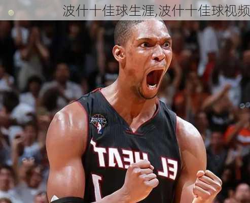 波什十佳球生涯,波什十佳球视频