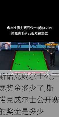 斯诺克威尔士公开赛奖金多少了,斯诺克威尔士公开赛的奖金是多少
