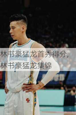 林书豪猛龙首秀得分,林书豪猛龙集锦