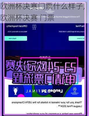 欧洲杯决赛门票什么样子,欧洲杯决赛 门票