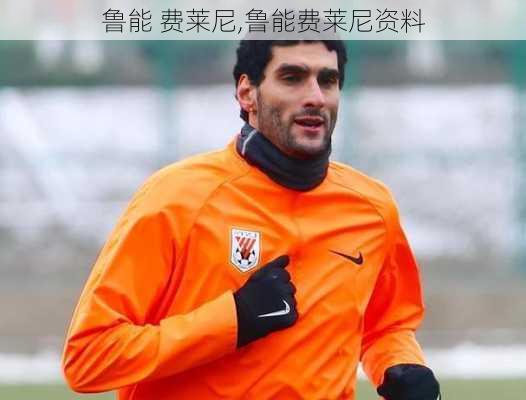 鲁能 费莱尼,鲁能费莱尼资料
