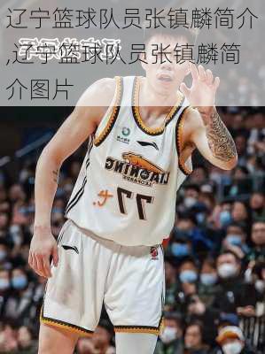 辽宁篮球队员张镇麟简介,辽宁篮球队员张镇麟简介图片