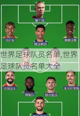 世界足球队员名单,世界足球队员名单大全
