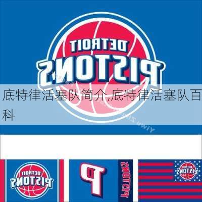 底特律活塞队简介,底特律活塞队百科