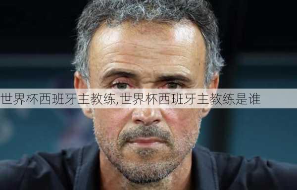 世界杯西班牙主教练,世界杯西班牙主教练是谁