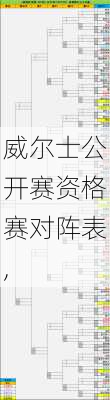 威尔士公开赛资格赛对阵表,