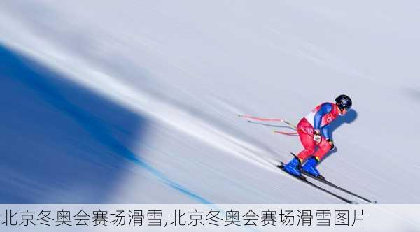 北京冬奥会赛场滑雪,北京冬奥会赛场滑雪图片