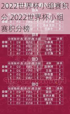 2022世界杯小组赛积分,2022世界杯小组赛积分榜