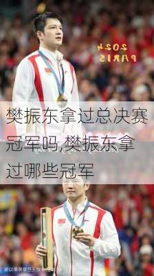 樊振东拿过总决赛冠军吗,樊振东拿过哪些冠军