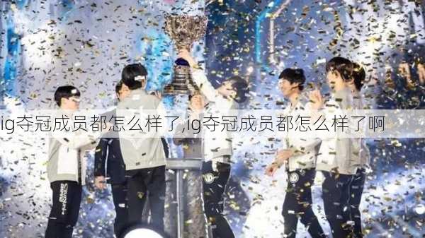 ig夺冠成员都怎么样了,ig夺冠成员都怎么样了啊