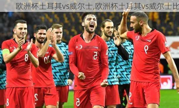 欧洲杯土耳其vs威尔士,欧洲杯土耳其vs威尔士比