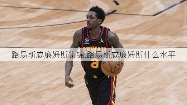 路易斯威廉姆斯集锦,路易斯威廉姆斯什么水平