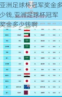 亚洲足球杯冠军奖金多少钱,亚洲足球杯冠军奖金多少钱啊