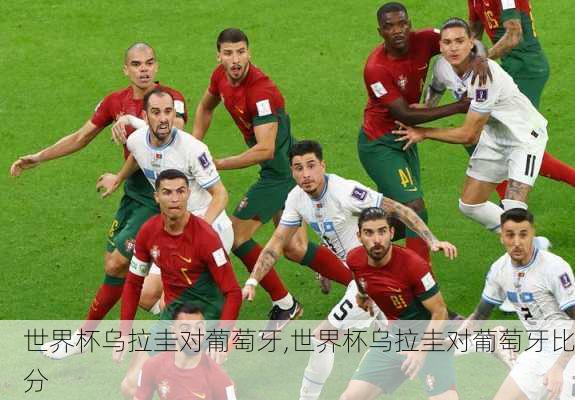 世界杯乌拉圭对葡萄牙,世界杯乌拉圭对葡萄牙比分