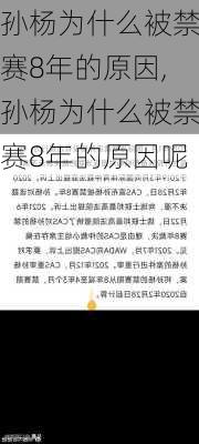 孙杨为什么被禁赛8年的原因,孙杨为什么被禁赛8年的原因呢