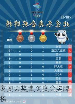 冬奥会奖牌,冬奥会奖牌榜