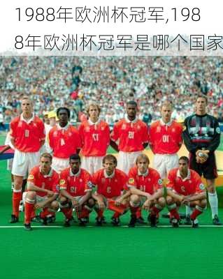 1988年欧洲杯冠军,1988年欧洲杯冠军是哪个国家