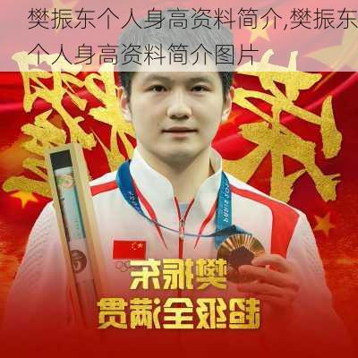 樊振东个人身高资料简介,樊振东个人身高资料简介图片