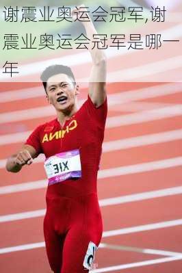 谢震业奥运会冠军,谢震业奥运会冠军是哪一年