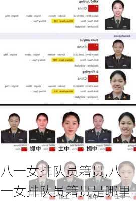 八一女排队员籍贯,八一女排队员籍贯是哪里