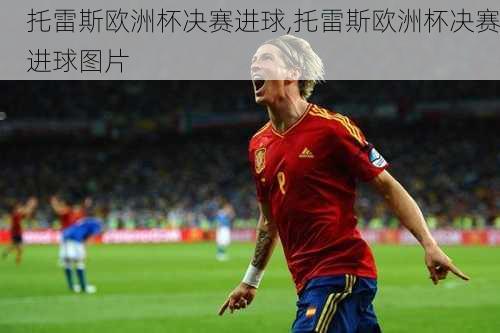 托雷斯欧洲杯决赛进球,托雷斯欧洲杯决赛进球图片