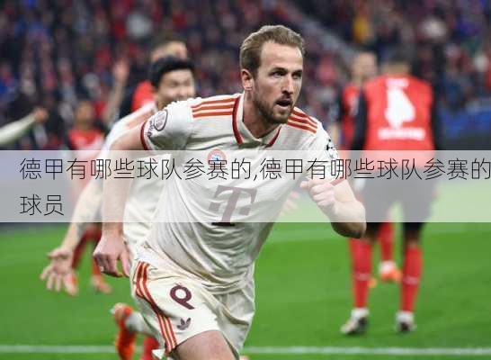 德甲有哪些球队参赛的,德甲有哪些球队参赛的球员