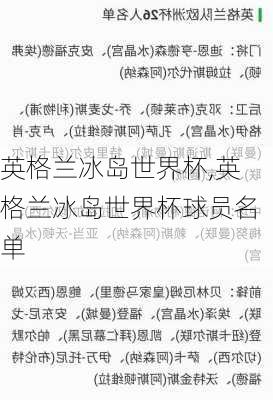 英格兰冰岛世界杯,英格兰冰岛世界杯球员名单