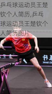 乒乓球运动员王楚钦个人简历,乒乓球运动员王楚钦个人简历图片