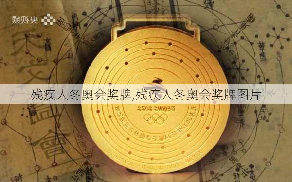 残疾人冬奥会奖牌,残疾人冬奥会奖牌图片