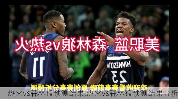 热火vs森林狼预测结果,热火vs森林狼预测结果分析
