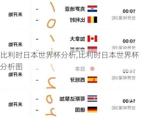比利时日本世界杯分析,比利时日本世界杯分析图