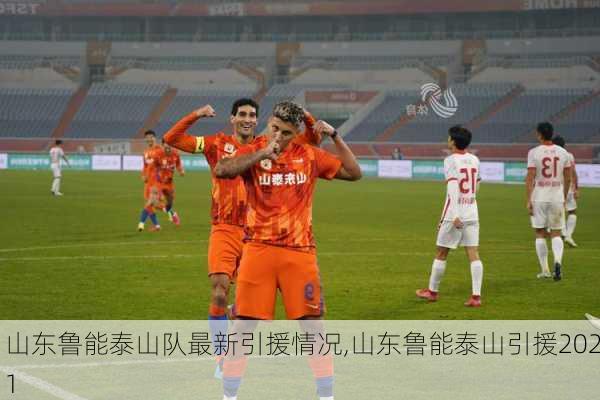 山东鲁能泰山队最新引援情况,山东鲁能泰山引援2021