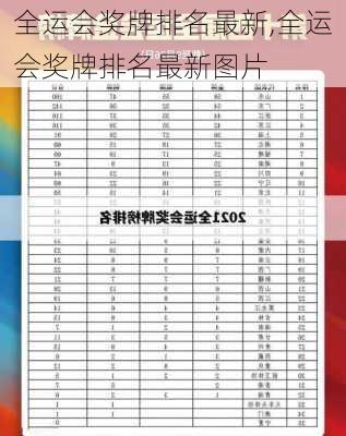 全运会奖牌排名最新,全运会奖牌排名最新图片