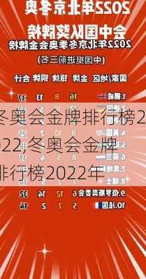 冬奥会金牌排行榜2022,冬奥会金牌排行榜2022年