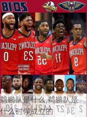 鹈鹕队是什么,鹈鹕队是什么时候成立的