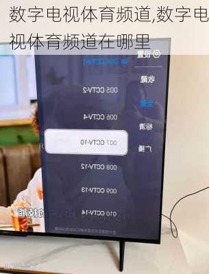 数字电视体育频道,数字电视体育频道在哪里
