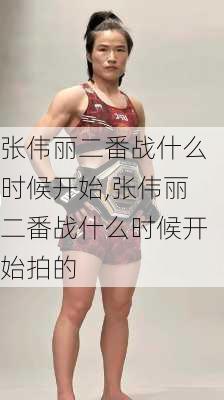 张伟丽二番战什么时候开始,张伟丽二番战什么时候开始拍的