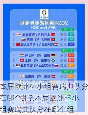 本届欧洲杯小组赛瑞典队分在哪个组?,本届欧洲杯小组赛瑞典队分在哪个组