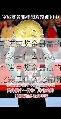 斯诺克奖金最高的比赛是什么比赛,斯诺克奖金最高的比赛是什么比赛啊