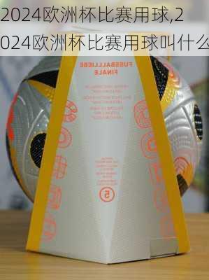 2024欧洲杯比赛用球,2024欧洲杯比赛用球叫什么