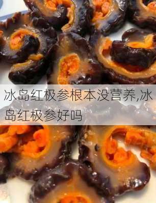冰岛红极参根本没营养,冰岛红极参好吗