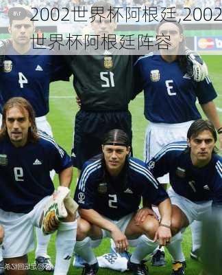 2002世界杯阿根廷,2002世界杯阿根廷阵容