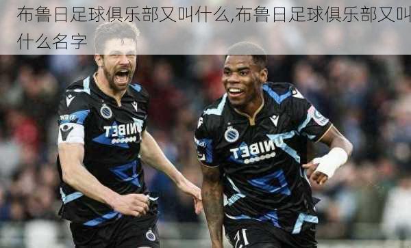 布鲁日足球俱乐部又叫什么,布鲁日足球俱乐部又叫什么名字