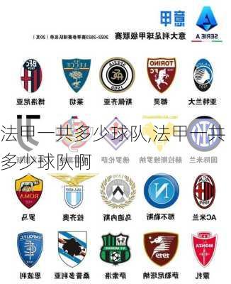 法甲一共多少球队,法甲一共多少球队啊