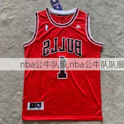 nba公牛队服,nba公牛队队服